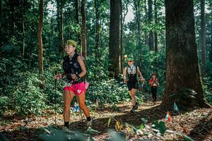 BIB: 
                            <button type="button" onclick="openModal(26129471)" class="btn btn-primary btn-sm float-right btn-popup" data-toggle="modal" data-target=".modal-high-quality">
                        <i class="fas fa-shopping-cart"></i> Add to Cart
                    </button>
                                            <button type="button" onclick="isThisMe(26129471, true)" class="btn btn-success btn-sm float-right btn-popup btn-isme hidden" data-toggle="tooltip" data-placement="bottom" title="นี่คือรูปของคุณใช่ไหม คลิกที่นี่เพื่อเอาเข้าอัลบั้ม">
                        <i class="fas fa-plus"></i> Add to album
                    </button>
                    <button type="button" onclick="isThisMe(26129471, false)" class="btn btn-warning btn-sm float-right btn-popup btn-isnotme hidden">
                        <i class="fas fa-ban"></i> Remove from album
                    </button>